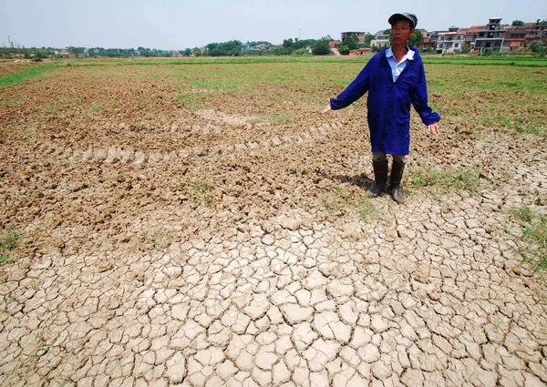 Китайський Фермер Стоїть Його Висохла Поле Під Час Посухи Місті — стокове фото