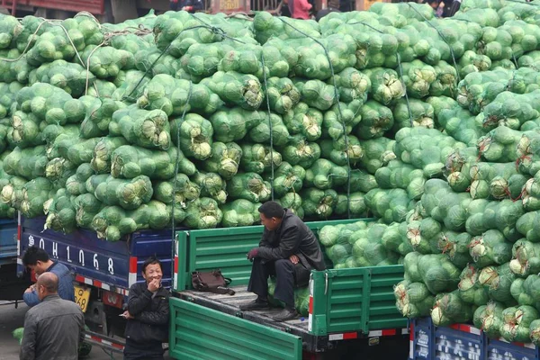 Agricultores São Vistos Por Pilhas Couves Repolho Não Vendidas Mercado — Fotografia de Stock