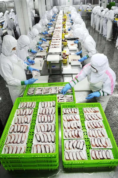 Lavoratori Trasformano Polpo Congelato Essere Esportati Giappone Presso Fabbrica Shandong — Foto Stock