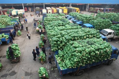 Farmers are seen by piles of unsold cabbages at Shanghais Jiangqiao Wholesale Market in Shanghai, China, 23 November 2011 clipart