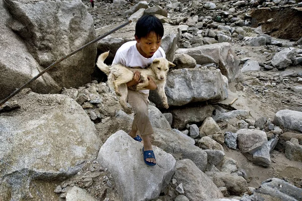 2011年6月11日 湖南省岳阳市临乡湛桥镇关山村 一名中国儿童的父母在泥石流中丧生 并携带狗 引起泥石流破坏 — 图库照片