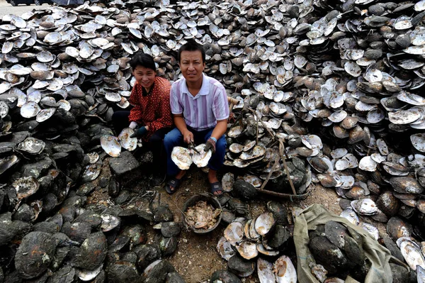 Pracownicy Zbierają Perły Mięczaków Zhuji Prowincja Chińska Wschodnia Zhejiang Września — Zdjęcie stockowe