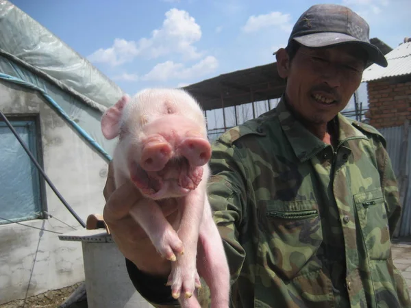 Hombre Sostiene Cerdo Dos Caras Pueblo Noreste Provincia Chinas Jilin —  Fotos de Stock