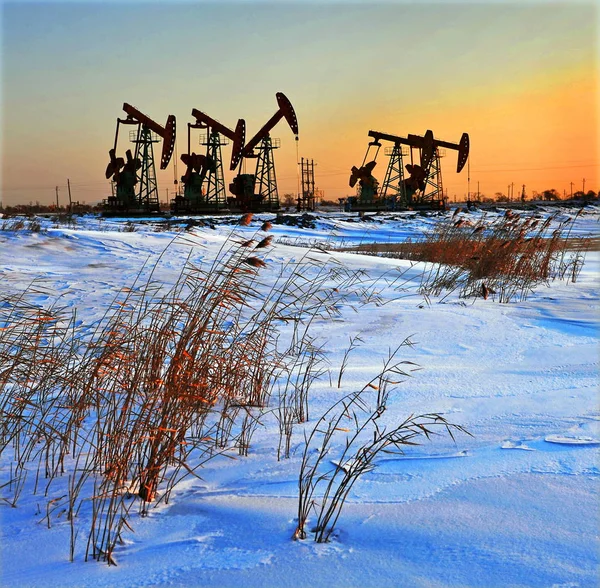 Los Derricks Petróleo Bombean Petróleo Crudo Amanecer Campo Petrolífero Daqing —  Fotos de Stock