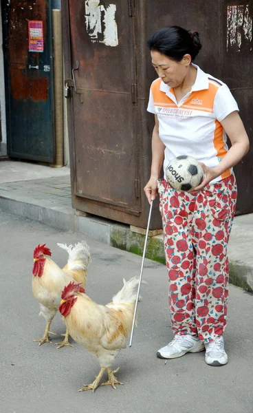 Lokalnego Rezydenta Zhang Lijun Pociągi Jej Koguty Gry Piłkę Nożną — Zdjęcie stockowe
