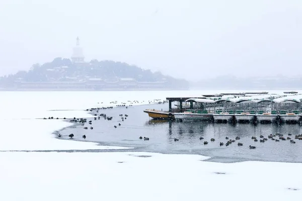 Turistler Yıl Pekin Ilk Kar Yağışı Beihai Park Ziyaret Çin — Stok fotoğraf