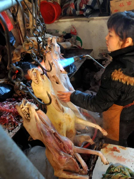Китайський Постачальник Спалює Хутро Собак Перед Продажем Яса Собак Продовольчому — стокове фото