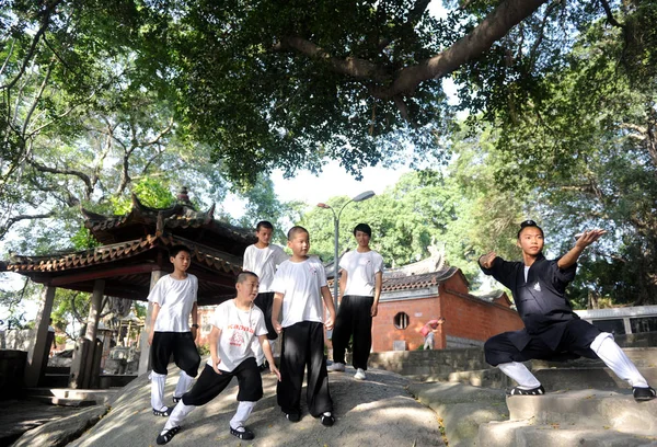 Young Boys Practise Wudang Martial Arts Zhen Temple Quanzhou Southeast — Zdjęcie stockowe
