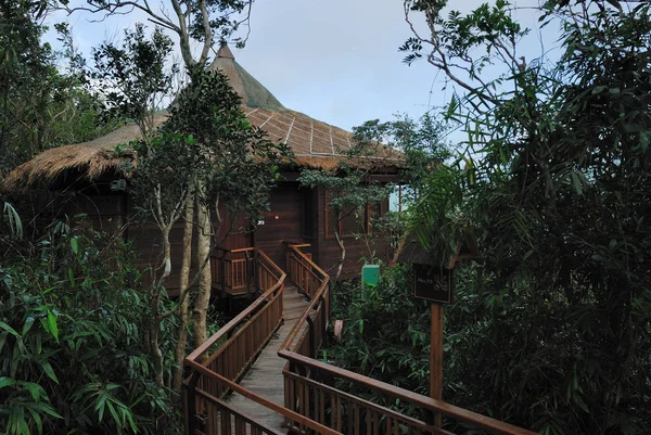 Pohled Kavárnu Stromech Tropickém Lese Jawském Zálivu Městě Sanya Provincii — Stock fotografie