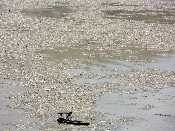 2009년 충칭의 삼협곡 저수지에 양쯔강에서 오염물질을 — 스톡 사진
