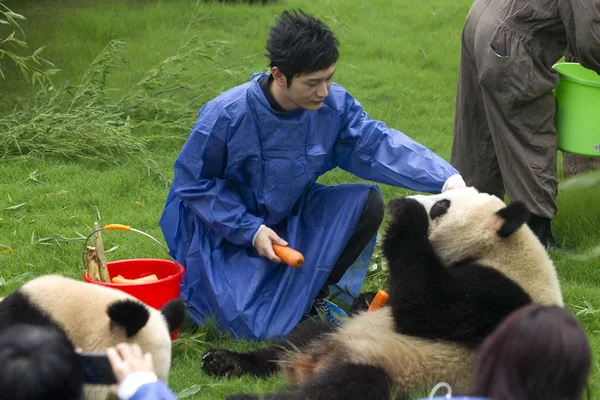 Actor Chino Huang Xiaoming Alimenta Panda Expo Que Adoptó Shanghai — Foto de Stock