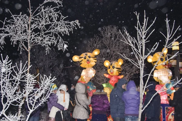 Visitatori Guardano Lanterne Forma Tigre Durante Cerimonia Apertura Del Jilin — Foto Stock