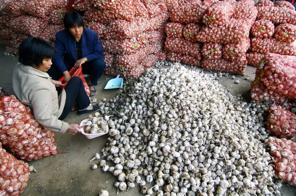 Trabalhadores Embalar Garlics Mercado Atacado Fuyang Leste Província Chinas Anhui — Fotografia de Stock
