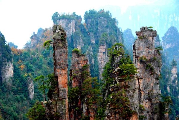Paisagem Parque Florestal Nacional Zhangjiajie Cidade Zhangjiajie Província Central Chinas — Fotografia de Stock
