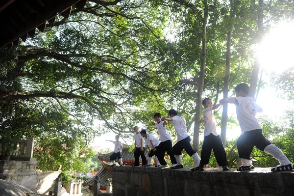 Young Boys Practise Wudang Martial Arts Zhen Temple Quanzhou Southeast — Zdjęcie stockowe