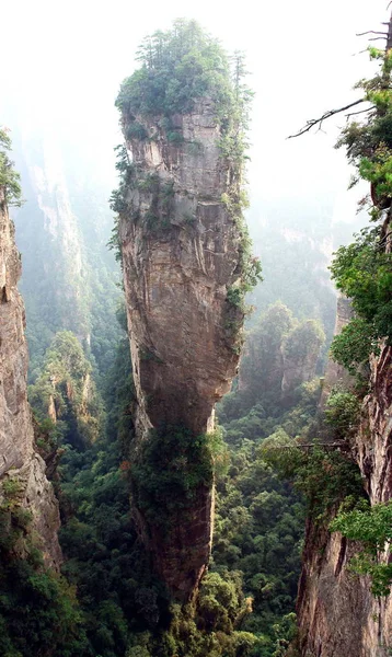Пейзаж Чжанцзяцзе Национальный Лесной Парк Городе Чжанцзяцзе Центральный Китай Провинции — стоковое фото