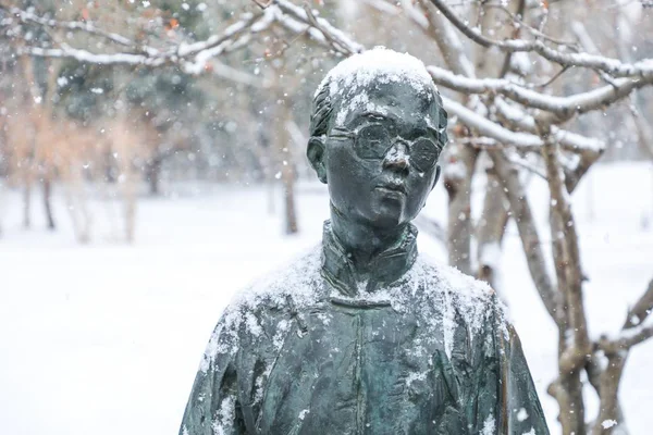 View Campus Tsinghua University Covered Snow Snowfall Beijing China February — Stock Photo, Image