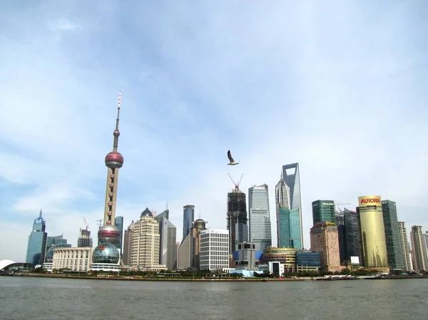 2010年4月7日 在中国上海 一只鸟飞越黄浦江 就像陆家嘴金融区在背景中看到的那样 — 图库照片