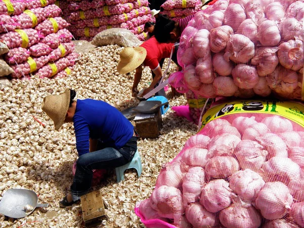 Trabalhadores Chineses Embalar Garlics Mercado Grossista Produtos Cidade Yichang Província — Fotografia de Stock