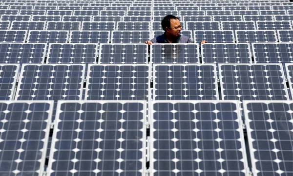 Китаец Ходит Среди Солнечных Батарей Солнечной Электростанции Ухань Центральный Чинас — стоковое фото