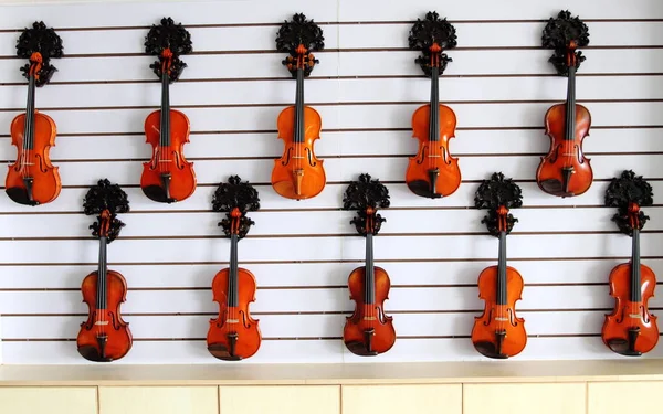 Los Violines Exhiben Sala Exposición Fábrica Beijing Huadong Musical Instrument —  Fotos de Stock