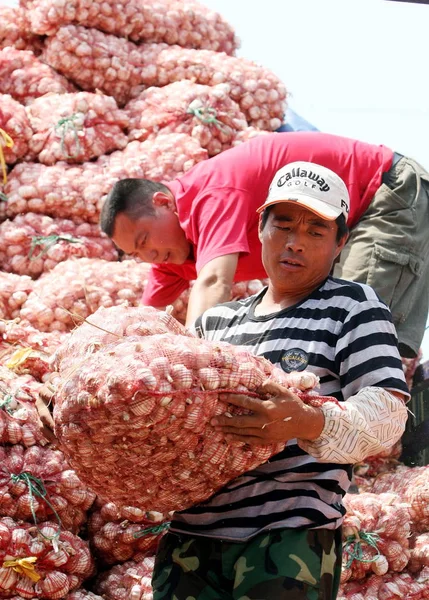 Chinese Vendors Unload Truck Garlics Xinfadi Produce Wholesale Market Beijing — Stock Photo, Image