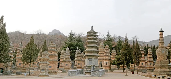 Blick Auf Den Pagodenwald Shaolin Tempel Auf Dem Songshan Berg — Stockfoto