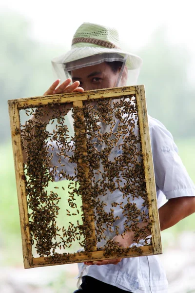 Een Chinese Imker Controleert Honingproductie Zijn Bee Farm Hangzhou City — Stockfoto