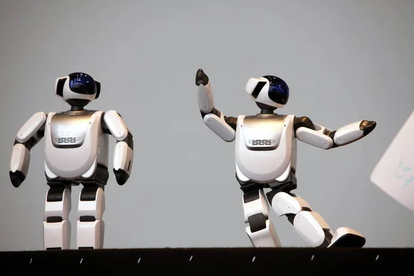 Mini Humanoidní Roboty Palro Provést Sumo Zápas Pavilonu Japonského Průmyslu — Stock fotografie