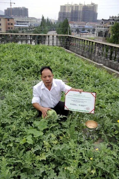 Китайский Фермер Пэн Цюйжэнь Показывает Диплом World Roof Rice Best — стоковое фото