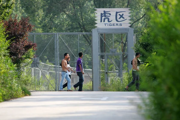 2010年6月14日 在中国西北陕西省西安市秦岭野生动物园 游客们走过老虎区 — 图库照片