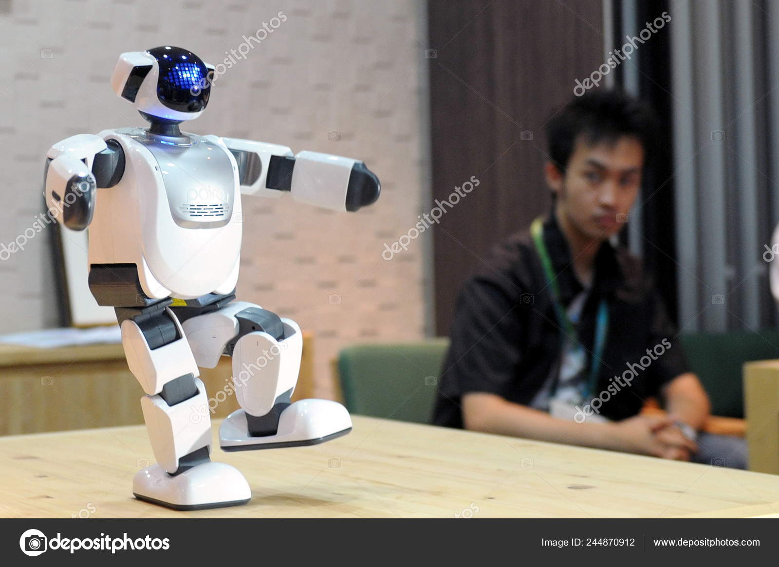 mini humanoid robot