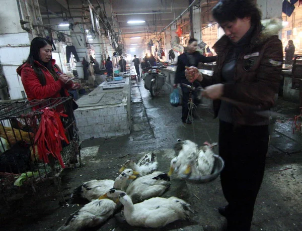 Sprzedawca Sprzedaje Kaczki Rynku Loudi Centralnej Chinas Prowincji Hunan Lutego — Zdjęcie stockowe