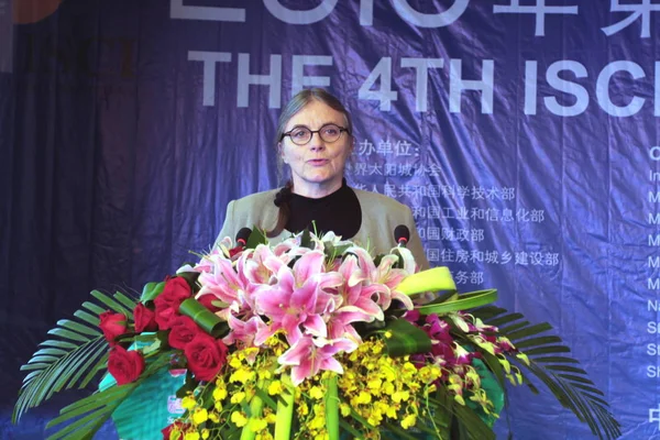 Anne Grete Hestnes Professor Aan Noorse Universiteit Voor Wetenschap Technologie — Stockfoto