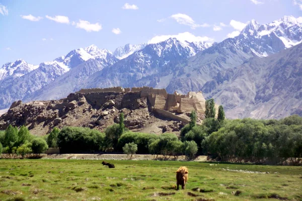 Paisagem Prados Montanhas Neve Tashkurgan Tajik Condado Autônomo Noroeste Chinas — Fotografia de Stock