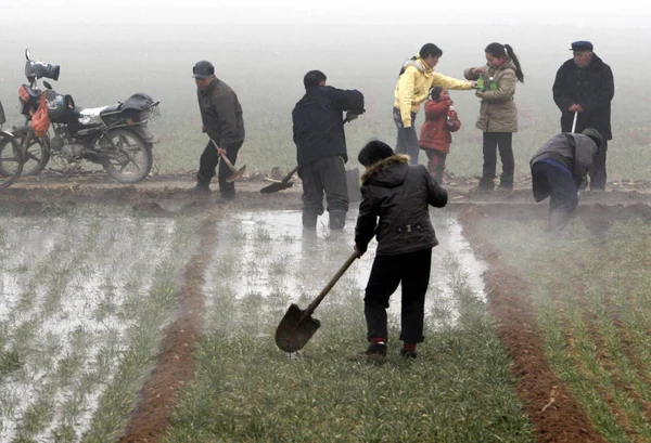 Китайські Фермери Зрошення Пшеничних Полів Постраждалих Від Посухи Селі Гаошань — стокове фото