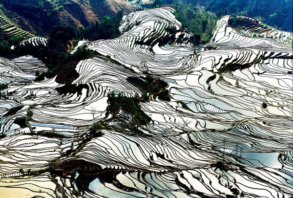 File Paisagem Campos Arroz Socalcos Condado Yunyang Sudoeste Província Chinas — Fotografia de Stock