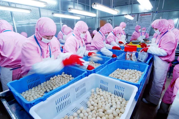 Gli Operai Cinesi Fabbricano Alimenti Surgelati Esportare Giappone Nello Stabilimento — Foto Stock