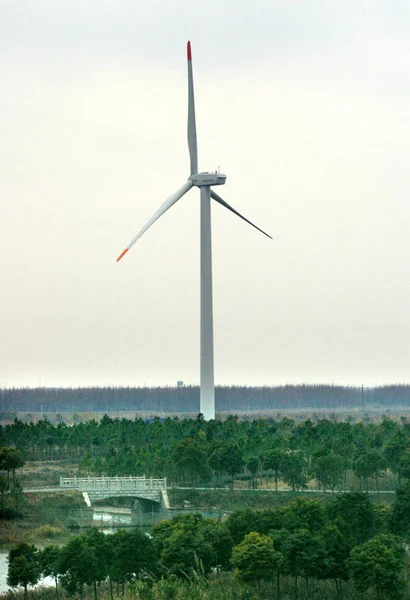 Une Éolienne Est Vue Dans Parc Éolien Parc Forestier Binhai — Photo