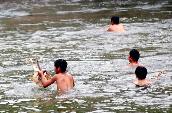 出場者は 2009年5月30日土曜日 中国南西部貴州省のマジャン郡でドラゴンボートフェスティバルを祝うためにアヒルのスクランブルイベント中にアヒルを捕獲しようとします — ストック写真
