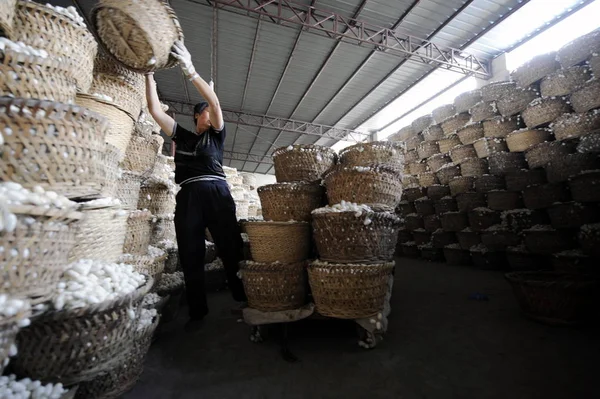 Stock image A Chinese worker places baskets of silkworm cocoons onto a cart at a plant of Hangzhou Jinli Silk Garment Co., Ltd, in Zhengjiadai Village, Tangxi Town, Hangzhou city, east Chinas Zhejiang province, June 4, 2009