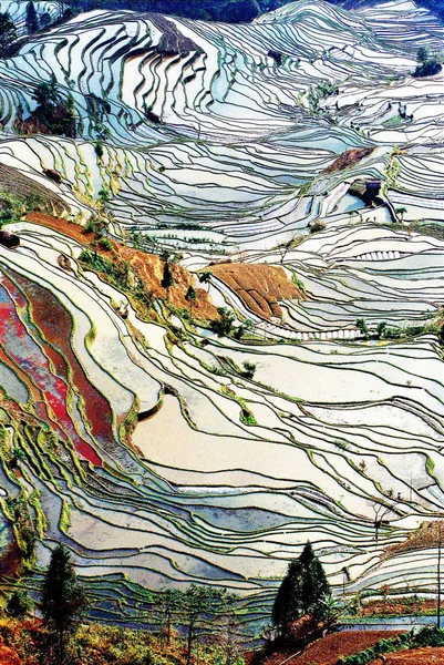 Пейзаж Террасовых Рисовых Полей Округе Юнян Провинция Юньнань Юго Западе — стоковое фото