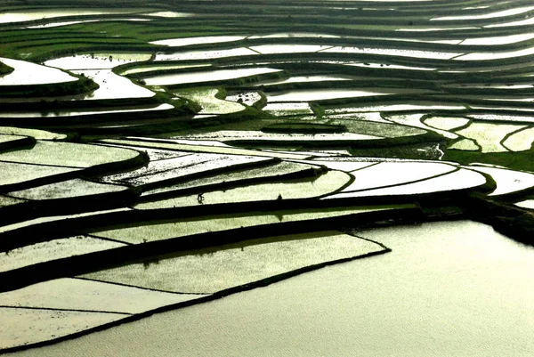 Landschaft Terrassenförmiger Reisfelder Huaxi Stadt Guiyang Provinz Guizhou Südwesten Chinas — Stockfoto