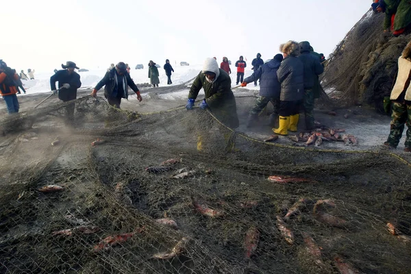 中国の漁師は 2010年12月29日 中国吉林省北東部 ソンユアン市のチャガン湖の中に魚を入れた巨大な漁網を描く — ストック写真