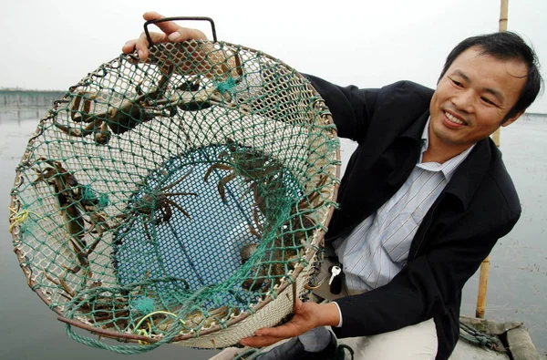 Fermier Chinez Crabi Arată Coș Crabi Păroși Într Barcă Lacul — Fotografie, imagine de stoc