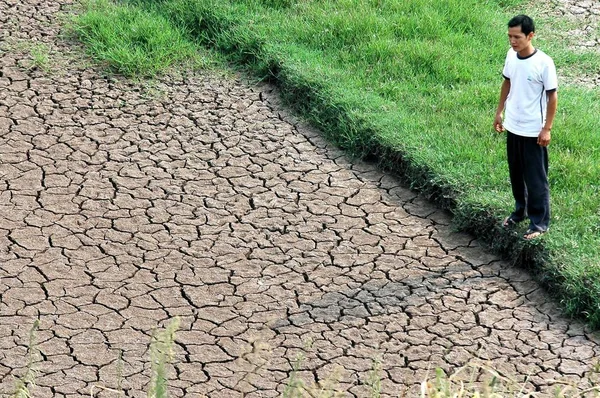 Chiński Rolnik Patrzy Jego Suszone Pęknięty Paddyfield Względu Dużą Suszę — Zdjęcie stockowe