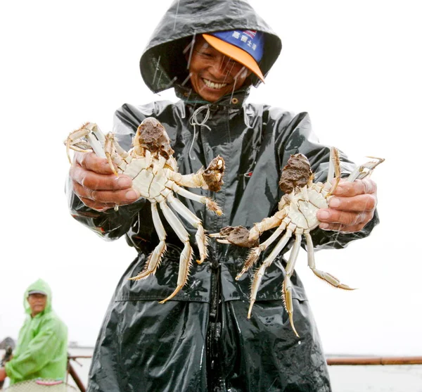 Een Chinese Krab Boer Toont Harige Krabben Een Boot Yangcheng — Stockfoto