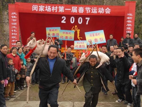 Čínští Zemědělci Přepravující Prasata Běžet Závodě Nesoucí Prasat Během Prvních — Stock fotografie
