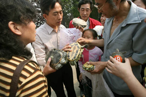 Locals Show Turtles Turtle Race Competion Wuhan South Chinas Hubei — Stock Photo, Image