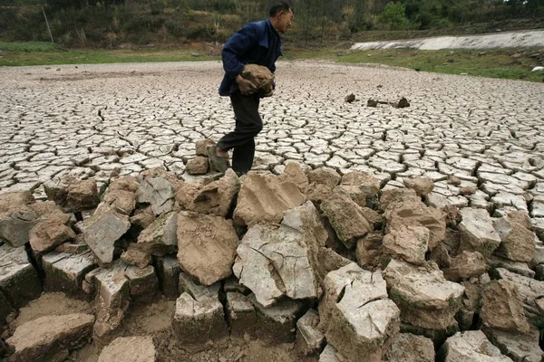 Bir Çiftçi Güneybatı Çin Sichuan Eyaleti Longquan Lçesi Nde Plantasyon — Stok fotoğraf